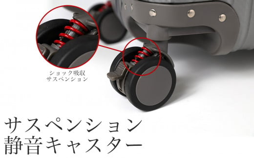 【先行予約】スーツケース [PROEVO] アルミスーツケース フレームキャリー 受託手荷物対応 L（カーボン/ガンメタリック） [30003] 福岡県 大木町 株式会社 レクサス AY156-09
