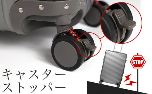 【先行予約】スーツケース [PROEVO] アルミスーツケース フレームキャリー 受託手荷物対応 L（カーボン/シルバー） [30003] 福岡県 大木町 株式会社 レクサス AY160-09