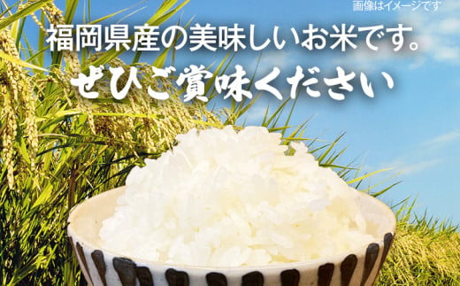 ã什å7幎ç£ã çŠå²¡ç 倧æšçºç£ ã²ã®ã²ãã 10kgãBC01