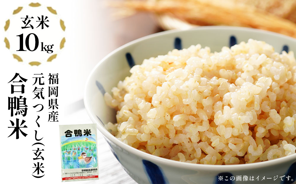 【先行予約】令和8年産 合鴨米「元気つくし」（玄米・10kg）数量限定 BI21