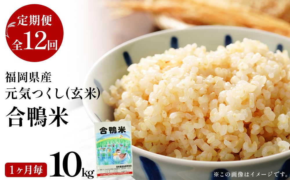 【先行予約】 令和8年産 合鴨米「元気つくし」（玄米・10kg）定期便12回コース　数量限定 ※令和8年10月スタートの定期便 BI22