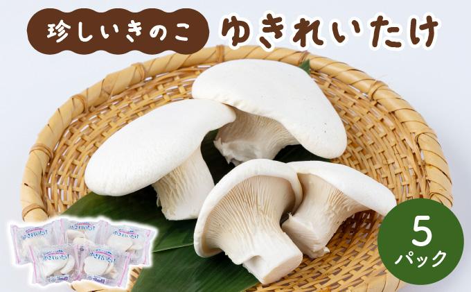 珍しいきのこ ゆきれいたけ AT19