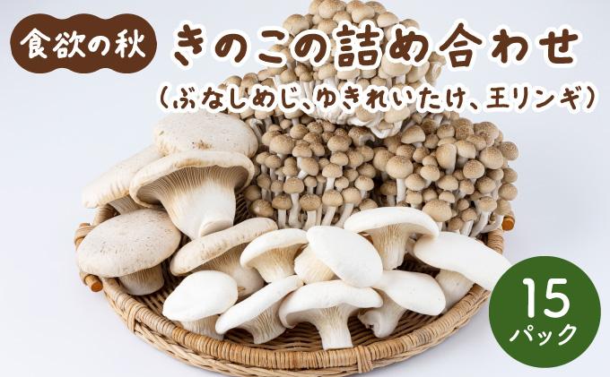 食欲の秋！きのこの詰め合わせ(ぶなしめじ・ゆきれいたけ・王リンギ各5パック)AT17