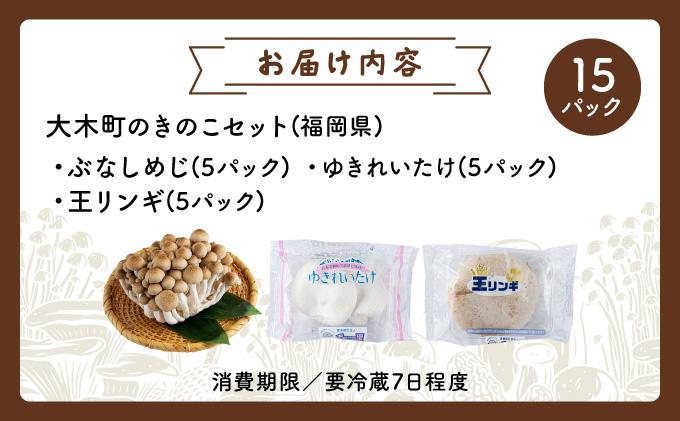 食欲の秋！きのこの詰め合わせ(ぶなしめじ・ゆきれいたけ・王リンギ各5パック)AT17