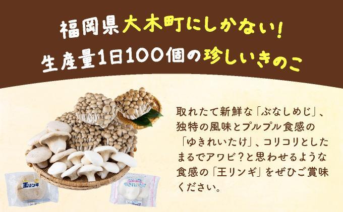 食欲の秋！きのこの詰め合わせ(ぶなしめじ・ゆきれいたけ・王リンギ各5パック)AT17