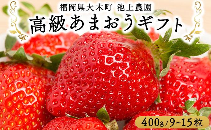 高級あまおうギフト (9～15粒) 400g BD015