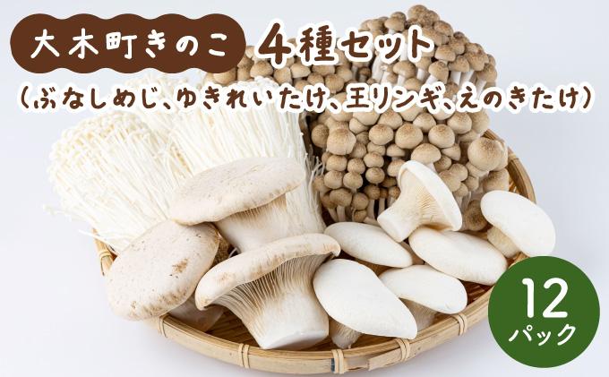 大木町のきのこセット(ぶなしめじ・ゆきれいたけ・王リンギ・えのきたけ各3パック)