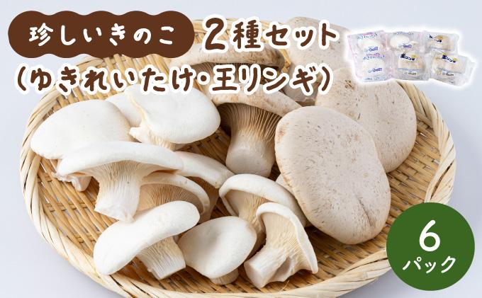 迴阪@縺縺阪ョ縺2遞ョテ3繝代ャ繧ッ繧サ繝繝(繧縺阪l縺縺溘¢3繝代ャ繧ッ繝サ邇九Μ繝ウ繧ョ3繝代ャ繧ッ)