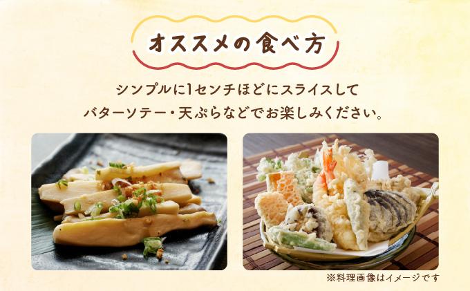 迴阪@縺縺阪ョ縺2遞ョテ5繝代ャ繧ッ繧サ繝繝(繧縺阪l縺縺溘¢5繝代ャ繧ッ繝サ邇九Μ繝ウ繧ョ5繝代ャ繧ッ)