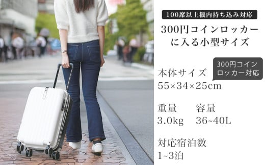 [PROEVO]ファスナーキャリー スーツケース ストッパー付き 機内持ち込み Sサイズ (エンボス/D.グリーン) [10002S] 福岡県 大木町 株式会社 レクサス AY336 キャリーケース