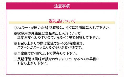 福岡産 あまおうジェラート 1000ml あまおう イチゴ いちご ジェラート スイーツ 果物 フルーツ アイス お返し プレゼント ストロベリー 南国フルーツ株式会社 CO030