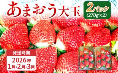 期間限定 いちご あまおう 苺 イチゴ 540g あまおう（大玉）、2パック（270g/パック）【2026年1月～3月順次発送】 フルーツ 果物 くだもの 大玉 ※北海道・沖縄・離島は配送不可 大木町産 おおきベリー CT003