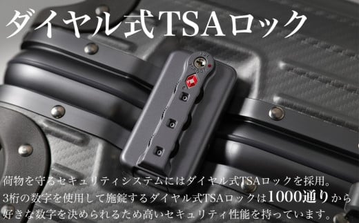 [PROEVO] アルミスーツケース フレームキャリー 機内持ち込み対応サイズ S(ジオメトリック/シルバー)  [30001] 福岡県 大木町 株式会社 レクサス AY328 キャリーケース