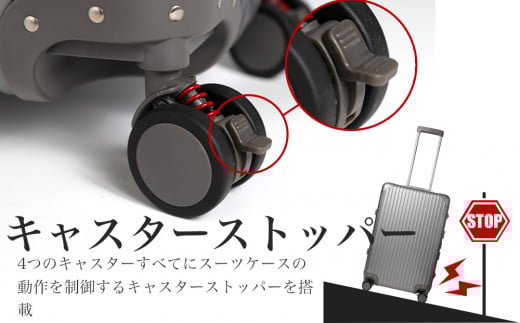 [PROEVO] アルミスーツケース フレームキャリー 機内持ち込み対応サイズ S(ジオメトリック/ブラック) [30001] 福岡県 大木町 株式会社 レクサス AY326 キャリーケース