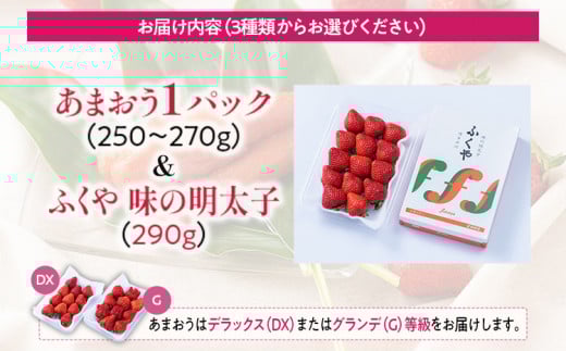 あまおう 1パック＆ふくや味の明太子290g 辛子明太子 明太子 イチゴ いちご 果物 フルーツ ※北海道・沖縄・離島は配送不可 大木町産 南国フルーツ CO009