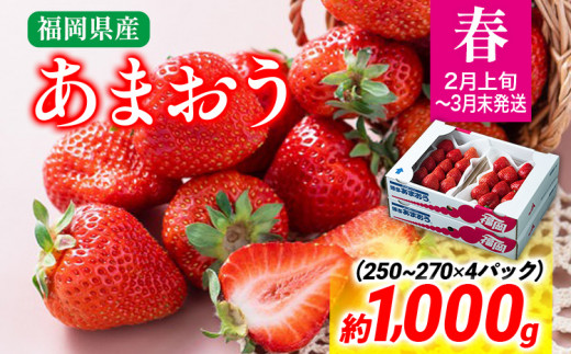 【春】あまおう 約1000g いちご 苺 果物 冷蔵 送料無料 イチゴ ※北海道・沖縄・離島は配送不可 大木町産 南国フルーツ CO003