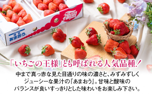 《先行予約》【春】あまおう 約1000g いちご 苺 果物 冷蔵 送料無料 イチゴ ※北海道・沖縄・離島は配送不可 大木町産 南国フルーツ CO003