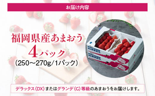 《先行予約》【春】あまおう 約1000g いちご 苺 果物 冷蔵 送料無料 イチゴ ※北海道・沖縄・離島は配送不可 大木町産 南国フルーツ CO003