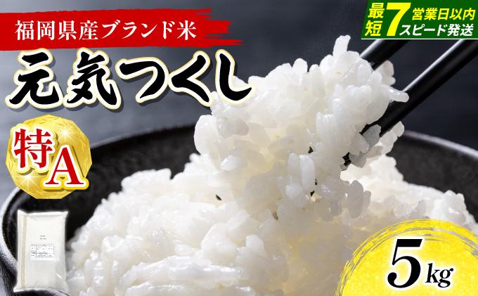 【最短7営業日以内発送】福岡県産米 元気つくし 5kg 精米 令和7年産 ※北海道・沖縄・離島は配送不可【精米 7年産 国産 福岡県産 お米 ブランド米 5kg げんきつくし】CY011