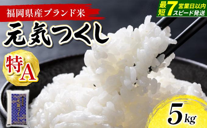 【最短7営業日以内発送】福岡県産米 元気つくし 5kg 精米 令和7年産 ※北海道・沖縄・離島は配送不可【精米 7年産 国産 福岡県産 お米 ブランド米 5kg げんきつくし】CY011