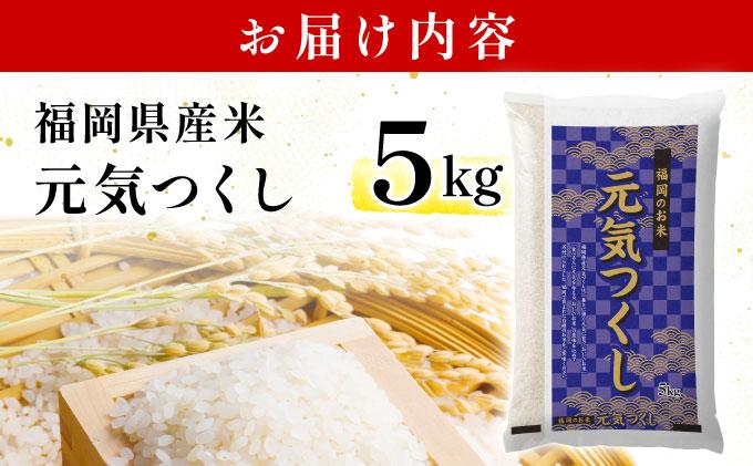 【最短7営業日以内発送】福岡県産米 元気つくし 5kg 精米 令和7年産 ※北海道・沖縄・離島は配送不可【精米 7年産 国産 福岡県産 お米 ブランド米 5kg げんきつくし】CY011