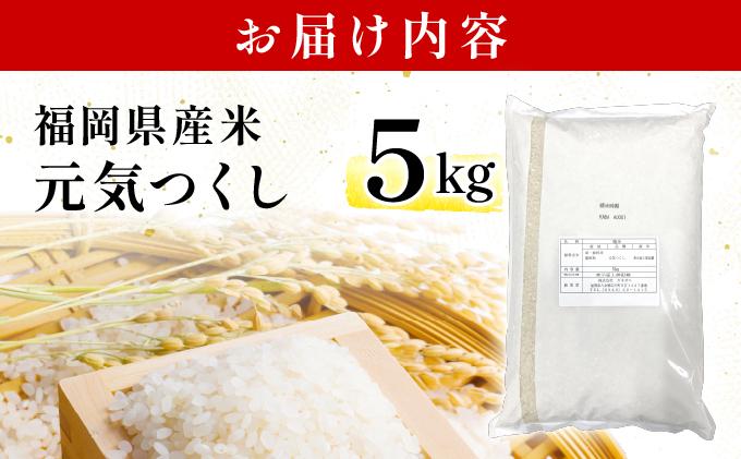福岡県産米 元気つくし 5kg 精米 令和7年産 ※北海道・沖縄・離島は配送不可【精米 7年産 国産 福岡県産 お米 ブランド米 5kg げんきつくし】CY011