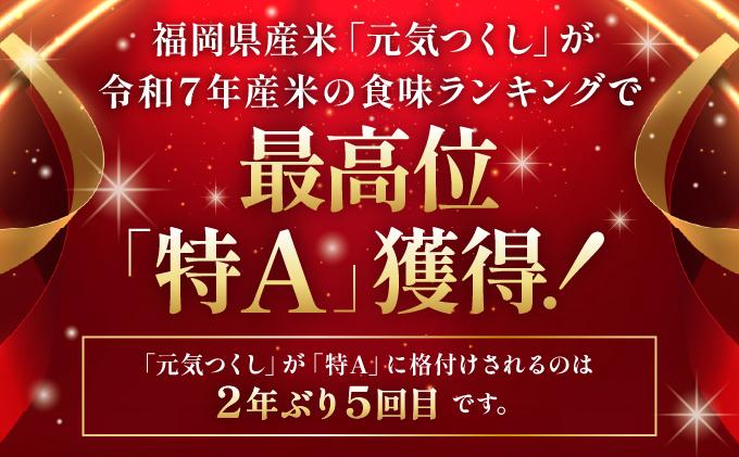 福岡県産米 元気つくし 5kg 精米 令和7年産 ※北海道・沖縄・離島は配送不可【精米 7年産 国産 福岡県産 お米 ブランド米 5kg げんきつくし】CY011