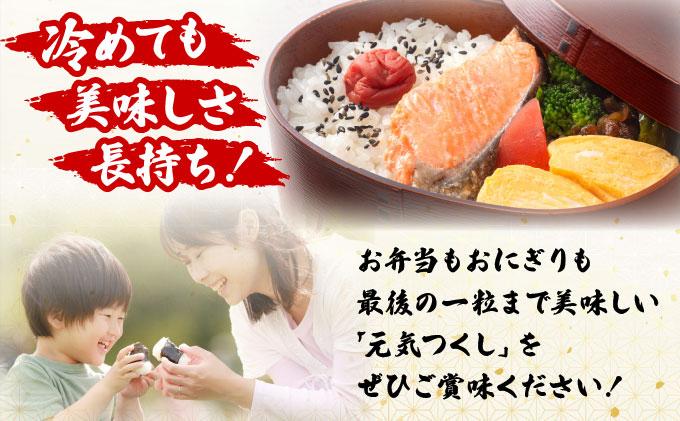 福岡県産米 元気つくし 5kg 精米 令和7年産 ※北海道・沖縄・離島は配送不可【精米 7年産 国産 福岡県産 お米 ブランド米 5kg げんきつくし】CY011