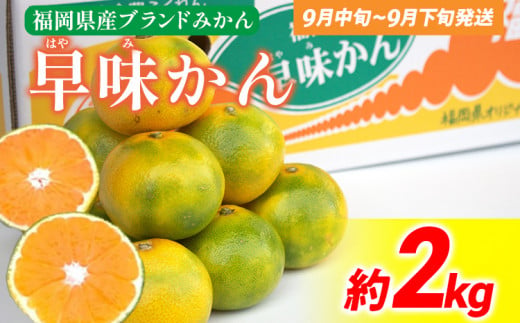《先行予約》期間限定 みかん 福岡県産ブランド 「早味かん」 約2kg フルーツ 返礼品 お取り寄せグルメ お取り寄せ グルメ 果物 南国フルーツ CO016