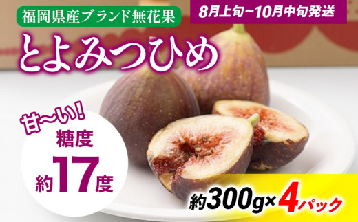 《先行予約》期間限定 いちじく 「とよみつひめ」 1.2kg 福岡県産ブランド フルーツ 無花果 (約300g×4パック) 1200g 南国フルーツ CO013