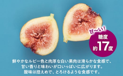 ãå
è¡äºçŽãæééå® ãã¡ãã ããšãã¿ã€ã²ãã 1.2kg çŠå²¡çç£ãã©ã³ã ãã«ãŒã ç¡è±æ (çŽ300gÃ4ããã¯) 1200g ååœãã«ãŒã CO013