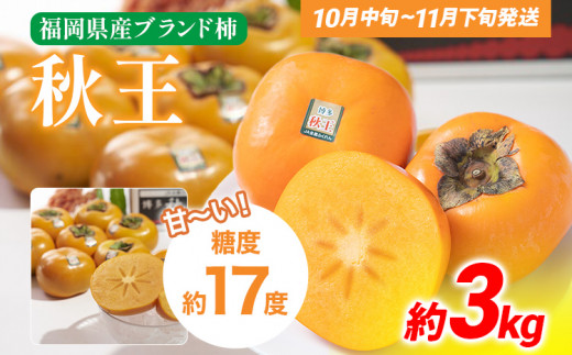 《先行予約》期間限定 福岡県産ブランド柿「秋王」  約3kg（8-12玉）返礼品 お取り寄せグルメ お取り寄せ グルメ かき カキ 果物 フルーツ 南国フルーツ CO012