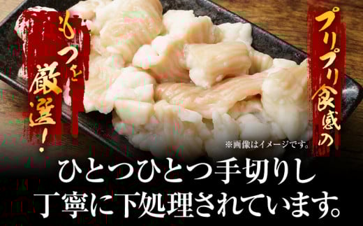 訳あり 博多味噌もつ鍋 10人前（2人前×5セット）お取り寄せグルメ お取り寄せ お土産 九州 福岡土産 取り寄せ グルメ MEAT PLUS CP048