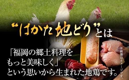 ã¯ããå°ã©ãã¢ã¢ã ãã»ãã2kgïŒ1kgÃ2pïŒ ãåãå¯ãã°ã«ã¡ ãåãå¯ã ãåç£ ä¹å· çŠå²¡åç£ åãå¯ã ã°ã«ã¡ MEAT PLUS CP036