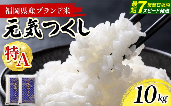 【最短7営業日以内発送】福岡県産米 元気つくし 10kg 令和7年産 ※北海道・沖縄・離島は配送不可【精米 7年産 国産 福岡県産 お米 ブランド米 10kg げんきつくし】CY012