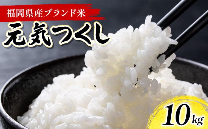 《20営業日内発送》福岡県産米 元気つくし 10kg 令和7年産 ※北海道・沖縄・離島は配送不可【精米 7年産 国産 福岡県産 お米 ブランド米 10kg げんきつくし】CY012