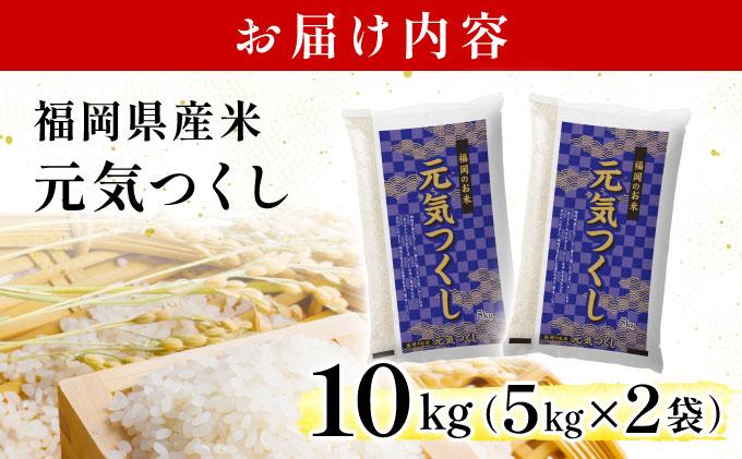 【最短7営業日以内発送】福岡県産米 元気つくし 10kg 令和7年産 ※北海道・沖縄・離島は配送不可【精米 7年産 国産 福岡県産 お米 ブランド米 10kg げんきつくし】CY012