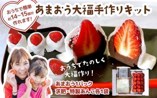 あまおう大福 手作りキット （1セット） 大福 和菓子 キット セット 【2026年1月～4月にかけて順次出荷予定】餡子 あん お菓子 手作り 苺 いちご 福岡県 大木町 池上農園 BD14