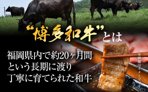 博多和牛焼肉用 500g 黒毛和牛 お取り寄せグルメ お取り寄せ お土産 九州 福岡土産 取り寄せ グルメ MEAT PLUS CP019