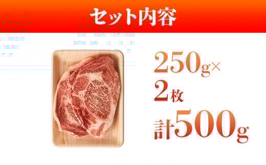 博多和牛サーロインステーキ 500g 黒毛和牛 お取り寄せグルメ お取り寄せ お土産 九州 福岡土産 取り寄せ グルメ MEAT PLUS CP012
