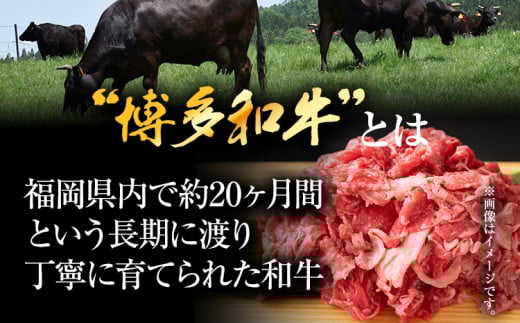 訳あり【A4～A5】博多和牛赤身霜降りしゃぶしゃぶすき焼き用（肩・モモ）600g 黒毛和牛 お取り寄せグルメ お取り寄せ お土産 九州 福岡土産 取り寄せ グルメ MEAT PLUS CP008