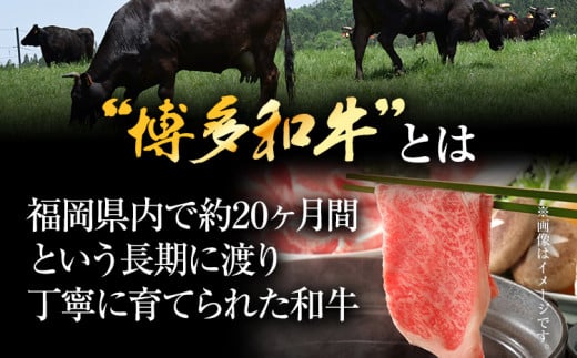èš³ãã åå€åçããã¶ããã¶ããçŒãçšïŒè©ããŒã¹èã»è©ãã©èã»ã¢ã¢èïŒ400g 黿¯åç ãåãå¯ãã°ã«ã¡ ãåãå¯ã ãåç£ ä¹å· çŠå²¡åç£ åãå¯ã ã°ã«ã¡ MEAT PLUS CP001