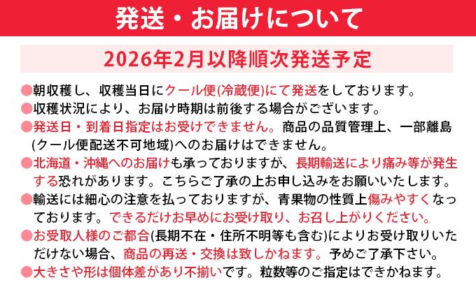 【先行予約/2026年】大木町産 あまおう いちご 約270ｇ×4パック《2026年2月以降順次発送》 イチゴ 苺 果物 おすすめ 福岡県 大木町 CL001