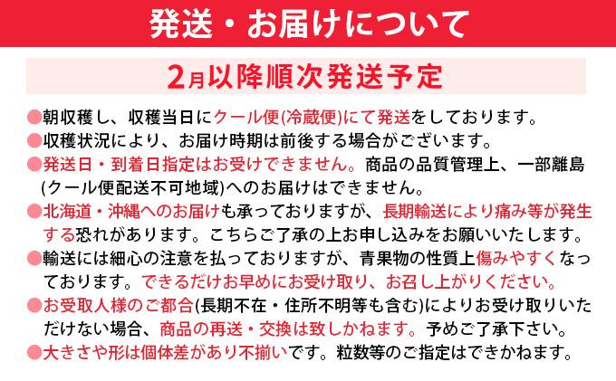 《先行予約》大木町産 あまおう いちご 約270g×4パック《2027年2月以降順次発送》 イチゴ 苺 果物 おすすめ 福岡県 大木町 CL001
