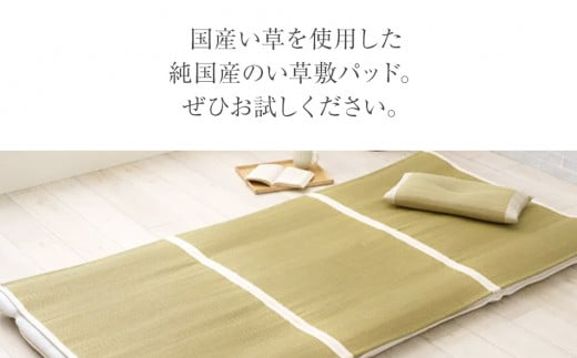 繝溘Λ繧ッ繝ォ縺闕画聞繝代ャ繝会シ115テ195シ 縺翫☆縺吶a 遖丞イ。逵 螟ァ譛ィ逕コ AA359