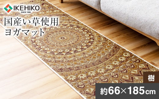 畳ヨガＥＣＯ マンダラ樹 （66×185） おすすめ 福岡県 大木町 AA355