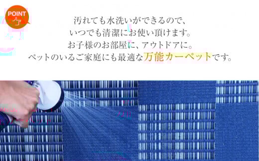 シーシー繧ォ繝シ繝壹ャ繝医え繧」繝シ繝会ショシカ豎滓虻髢3逡ウシ174テ261シ 縺翫☆縺吶a 遖丞イ。逵 螟ァ譛ィ逕コ AA349