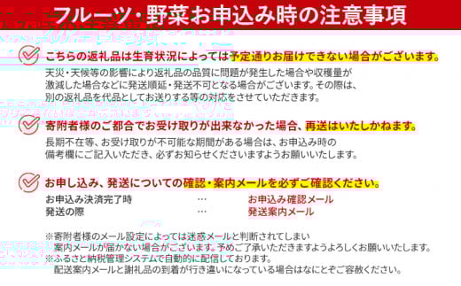 博多とよみつひめ 1,000g（４パック）【2026年8月～10月に発送予定】 CD23