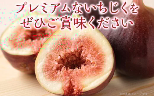 博多とよみつひめ 1,000g（４パック）【2026年8月～10月に発送予定】 CD23