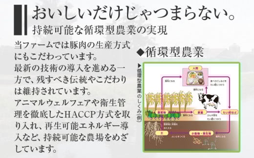 ペットフード ジャーキー (２種各8g)お試しセット 8歳～ ジャーキー ペット プラセンタ 胎盤 名水豚 犬用 栄養補助食 間食 犬 おやつ ふりかけ ドッグフード 福岡県 大木町 AP15